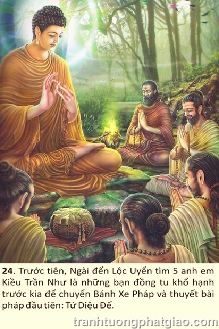 Lịch Sử Phật Thích Ca Mâu Ni Phật (1416)